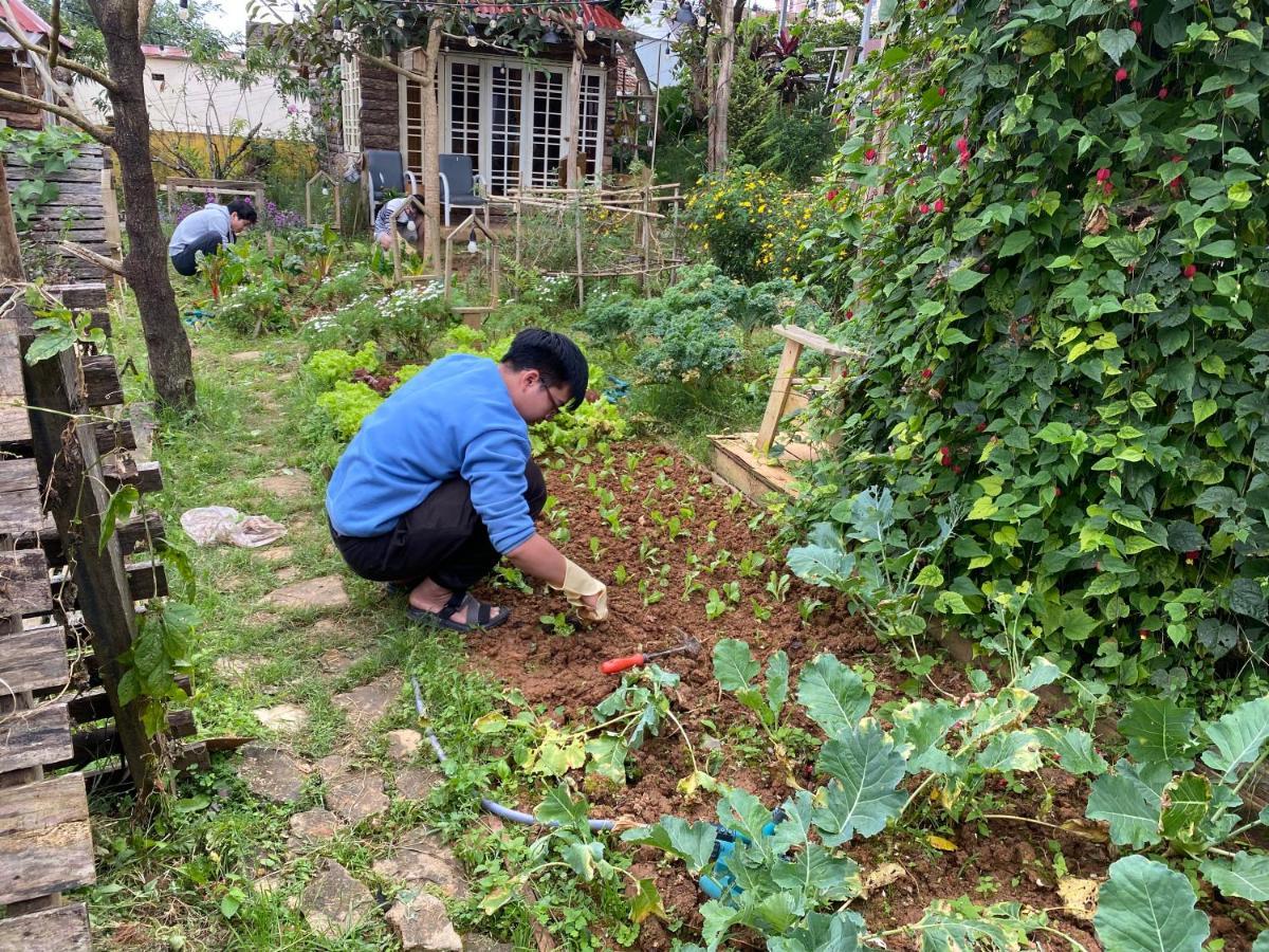 The Burrow Dalat Lejlighed Eksteriør billede