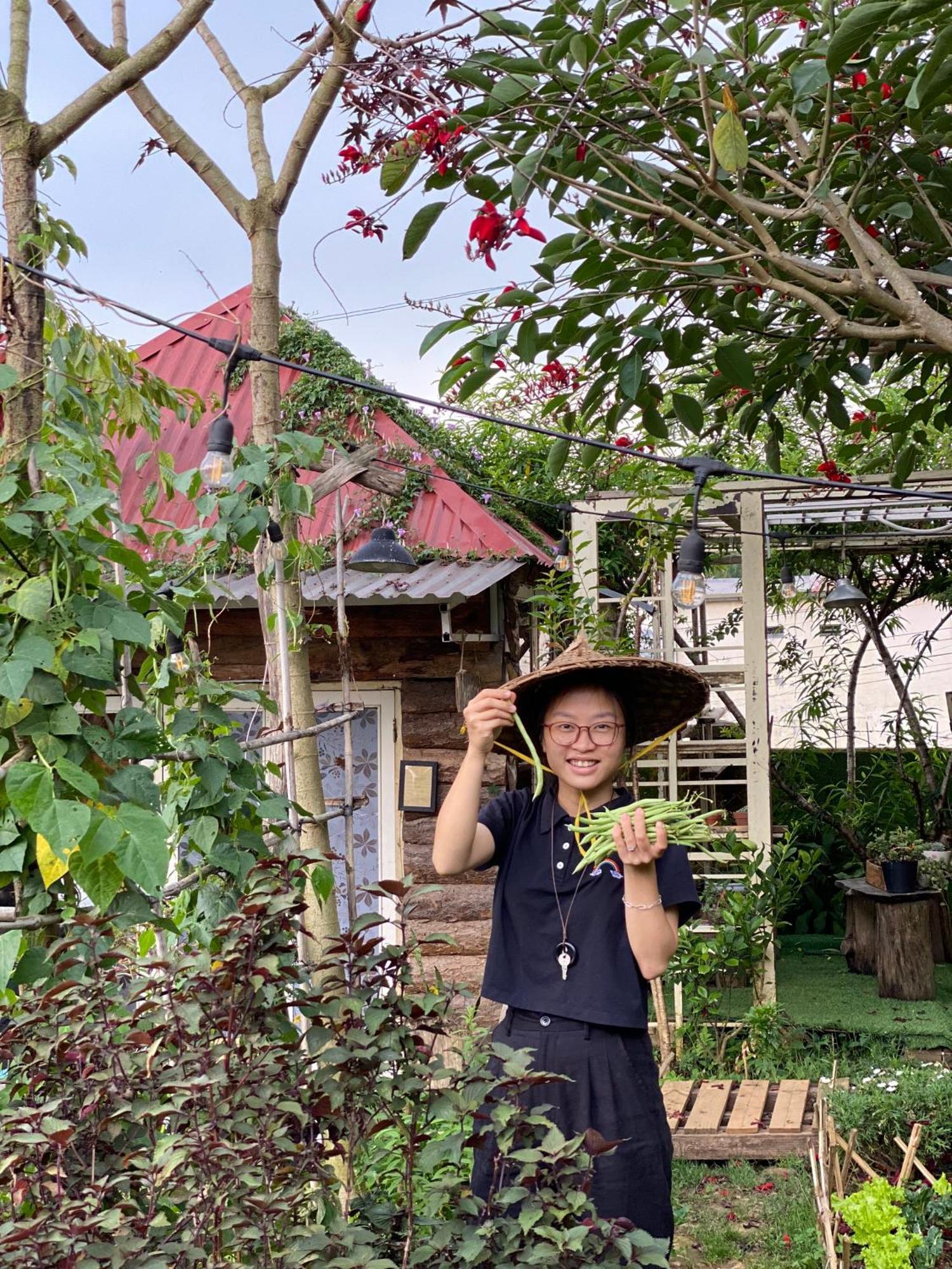 The Burrow Dalat Lejlighed Eksteriør billede