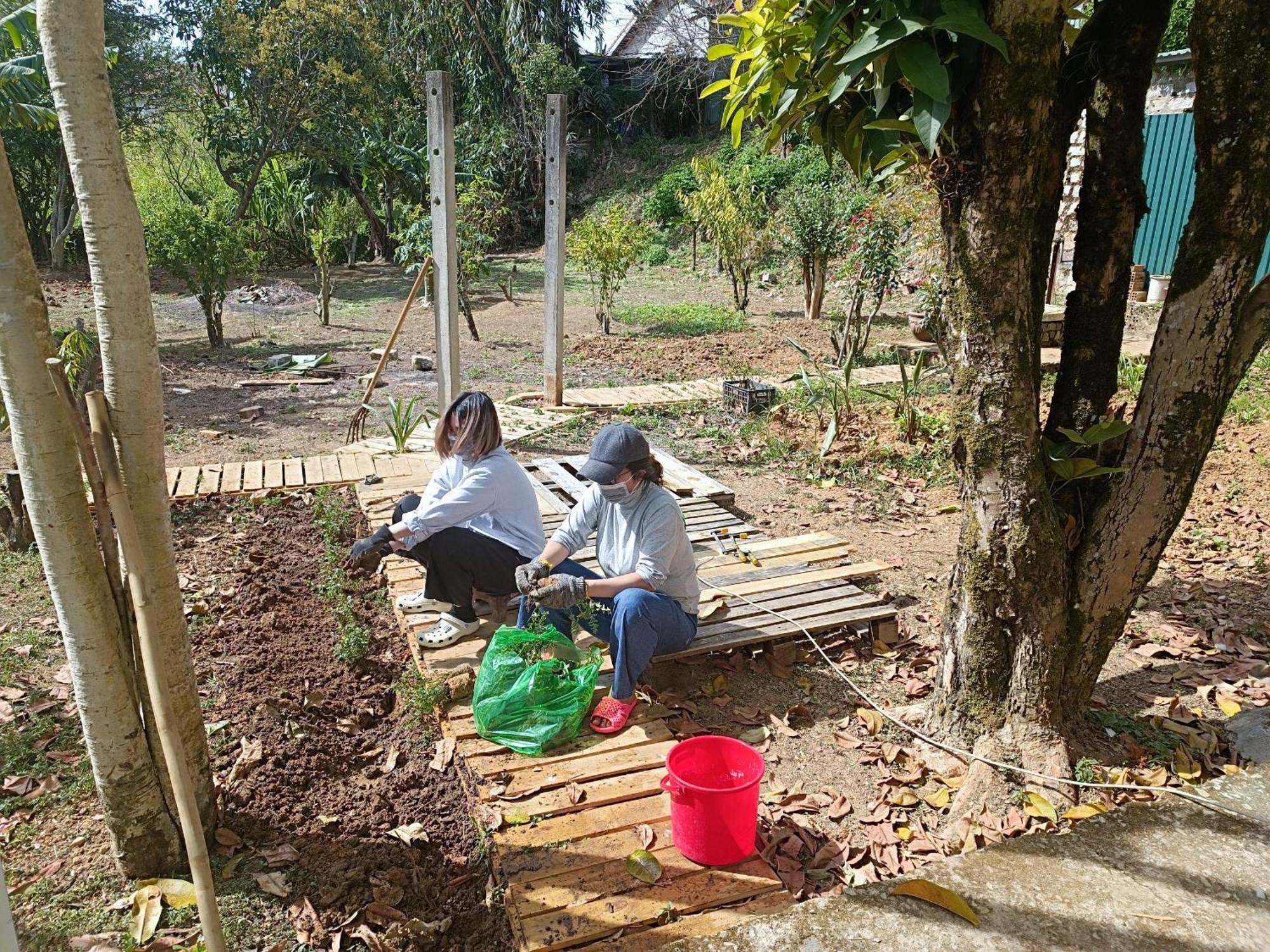 The Burrow Dalat Lejlighed Eksteriør billede